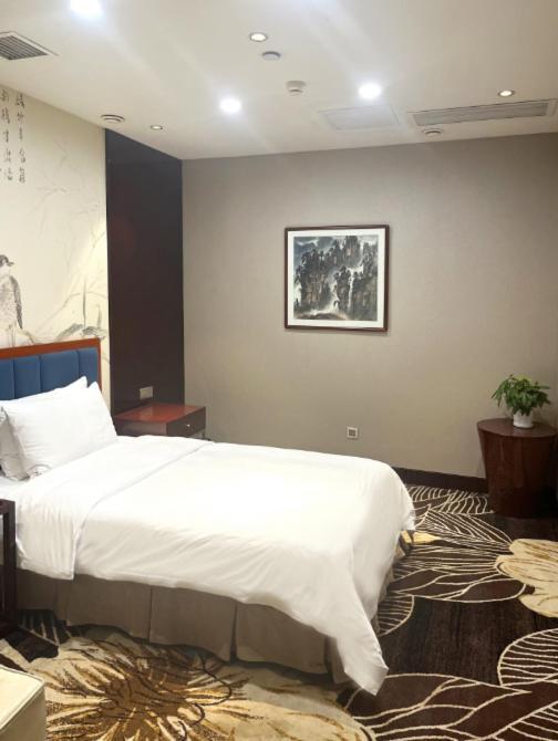 Days Hotel & Suites China Town---Five Minutes To Reach Changsha Station, The Metro Line 2 & Line 6 Are Nearby,Free Gym & Laundromat,Chinese And Western Buffet Breakfast Is Offered On The 31St Floor Exterior foto